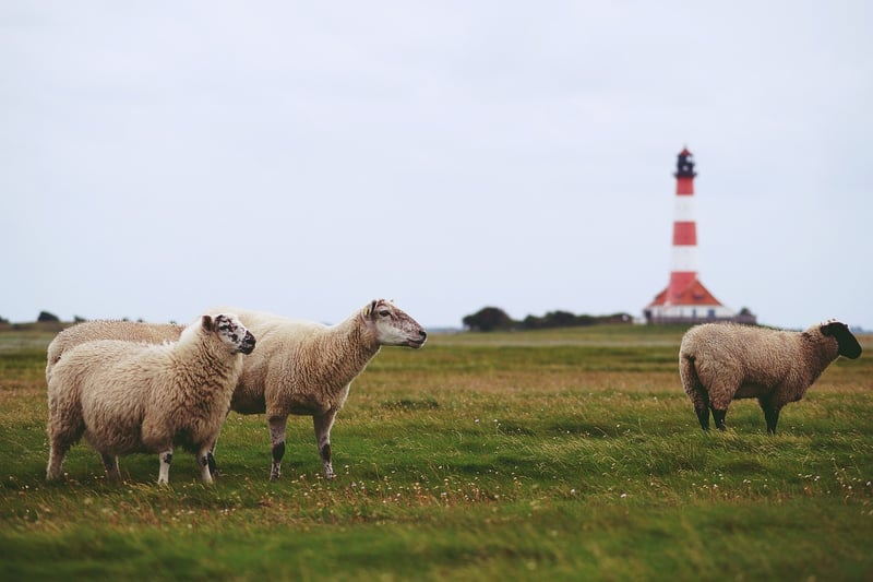 Lighthouse Wedding